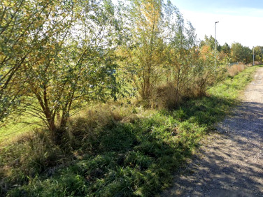 Działka budowlana Stara Wieś