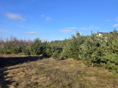 Działka budowlana Anastazewo