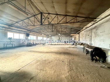 Budynek użytkowy Lubicz Dolny