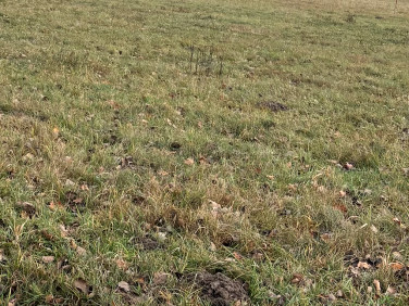 Działka budowlana Pruszków