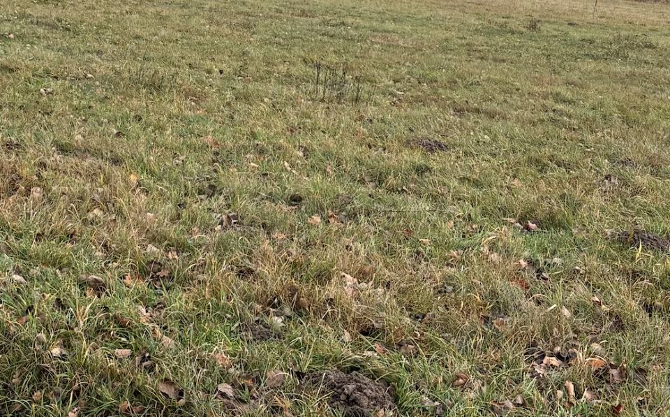 Działka budowlana Pruszków