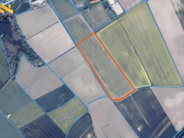 Działka Świerznica