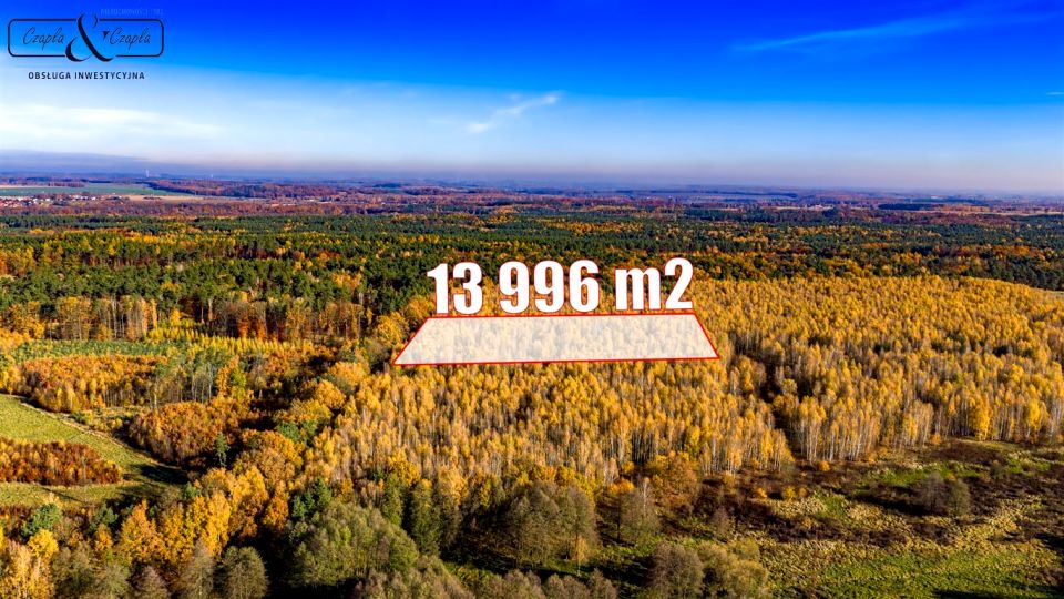 Działka leśna Rudno