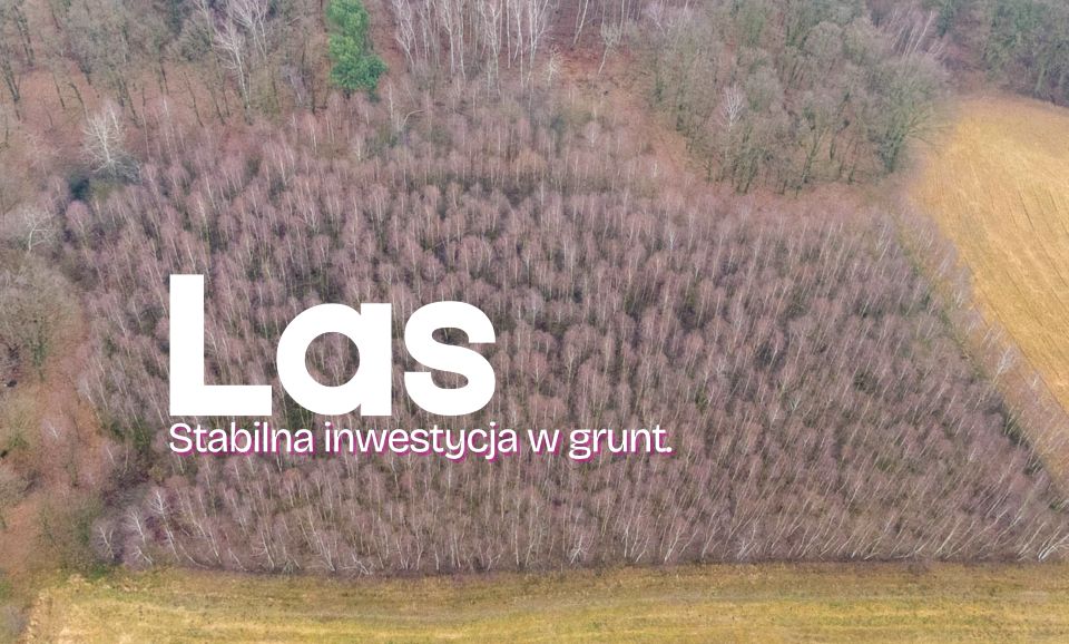 Działka leśna Kobyla