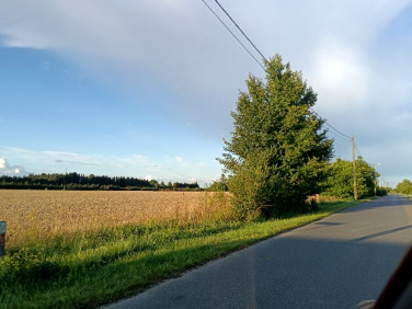 Działka budowlana Kłodawa