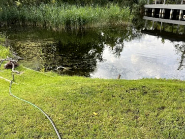 Działka budowlana Pęcice