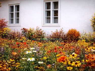 Dom Pieńki Zarębskie