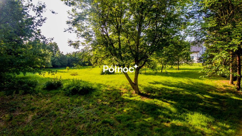 Zdjęcie 2