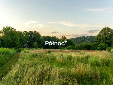 Działka usługowa Żelazno