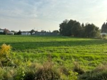 Działka usługowa sprzedam