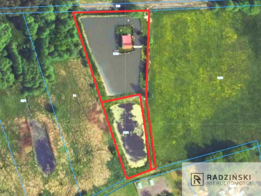 Działka rolna Drzeńsk Mały
