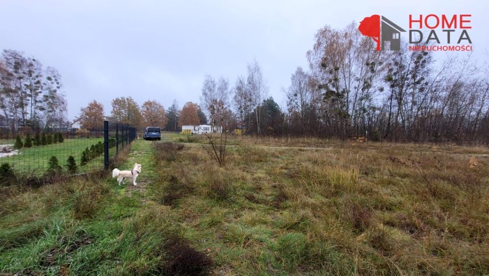 Działka przy lesie