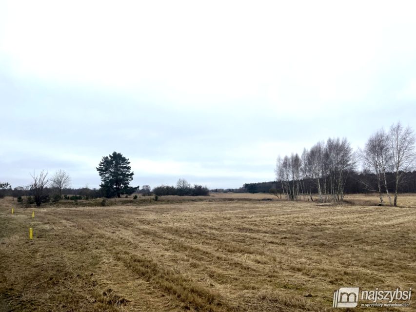 Działka budowlana Stepniczka