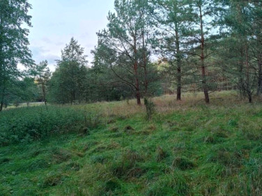 Działka budowlana Marksewo