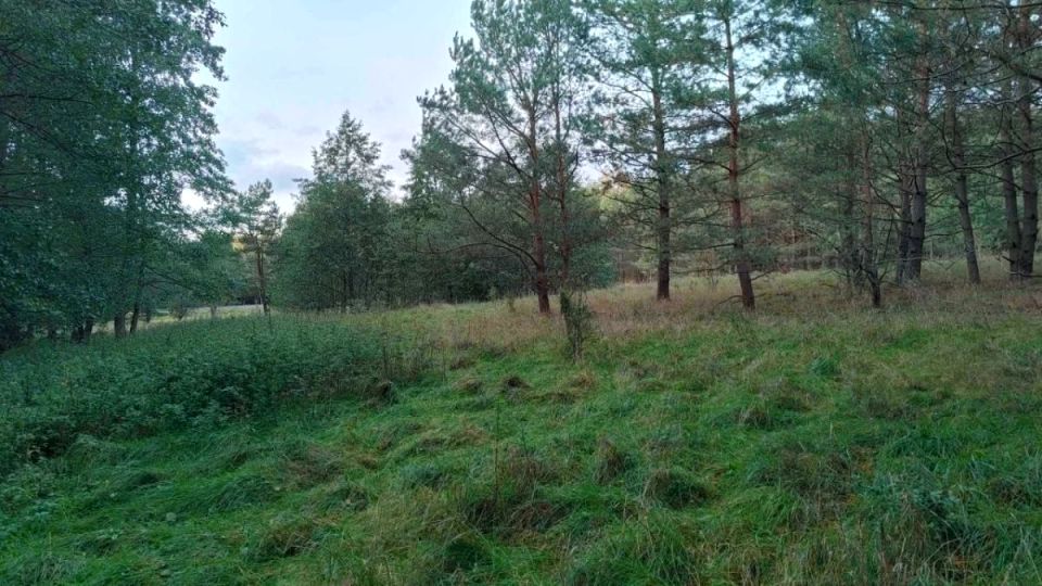 Działka budowlana Marksewo