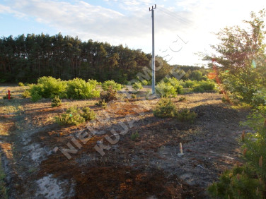 Działka budowlana Dębniaki