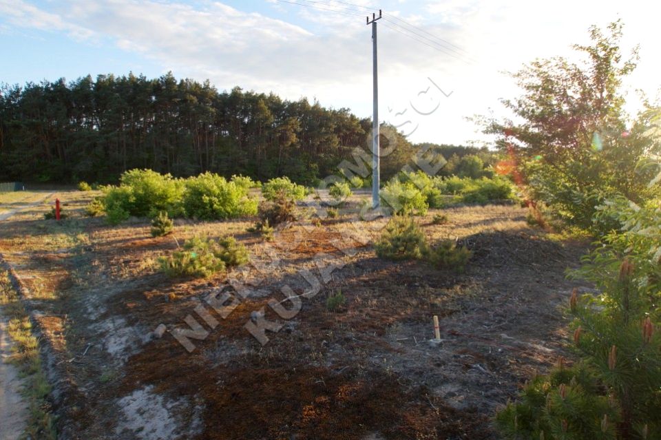 Działka budowlana Dębniaki