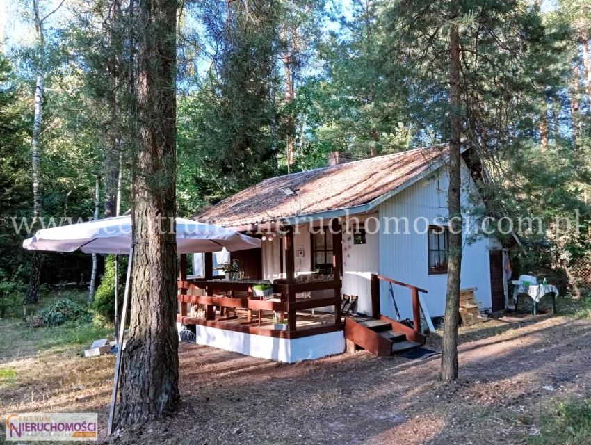 Działka Tymoteuszew