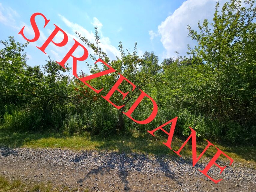 Działka przy lesie