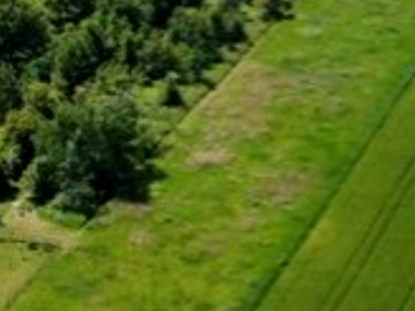 Działka siedliskowa Wola Mielecka