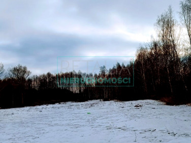 Działka siedliskowa Nowa Bukówka