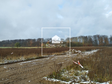 Działka Dobropole Gryfińskie