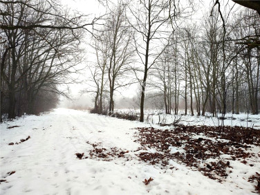 Działka budowlana Milanówek