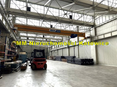 Lokal Katowice