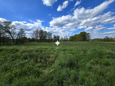 Działka inwestycyjna Szklary Dolne