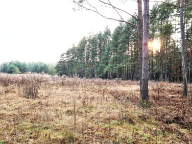 Działka budowlana Jurowce