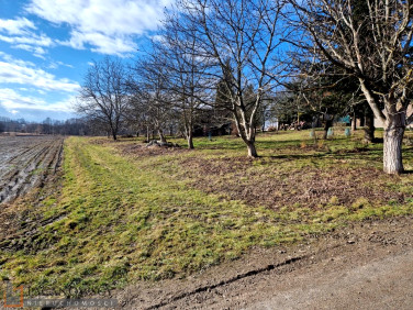 Działka budowlana Pietrzejowice