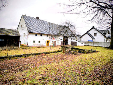 Dom Lwówek Śląski