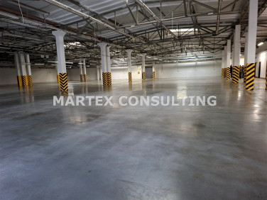 Lokal Wodzisław Śląski wynajem