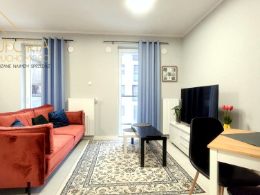 Mieszkanie Łódź wynajem