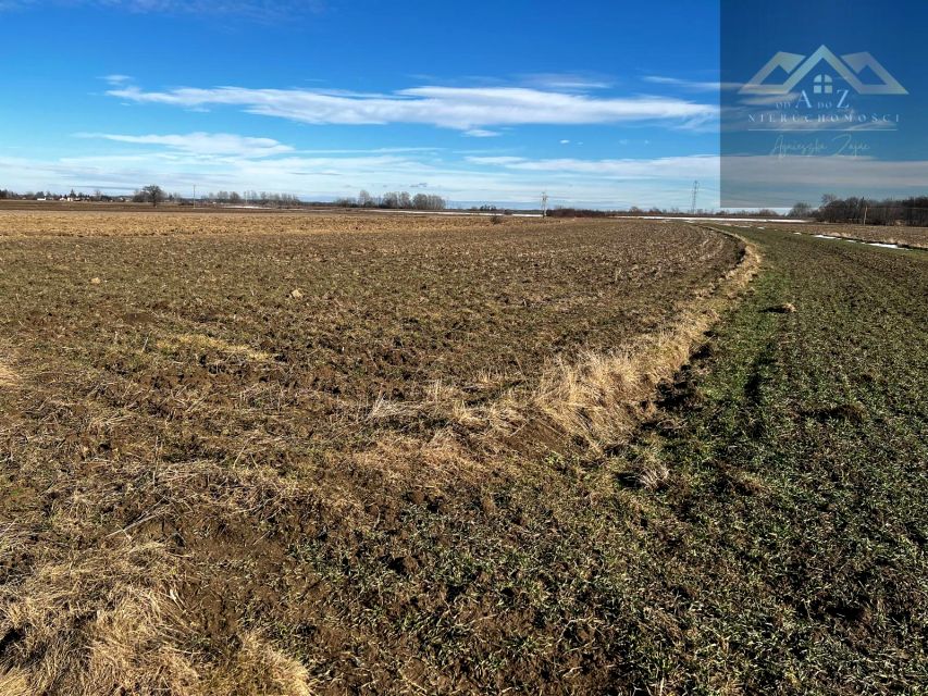 Działka rolna Biskupice Radłowskie