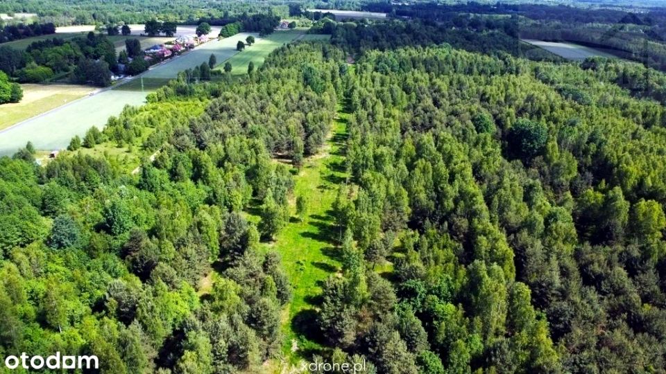 Działka siedliskowa Słubica-Wieś