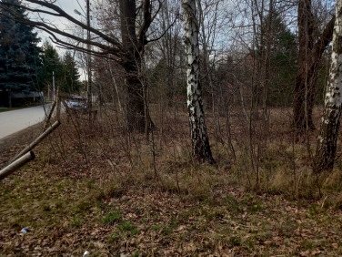 Działka budowlana Adamowizna