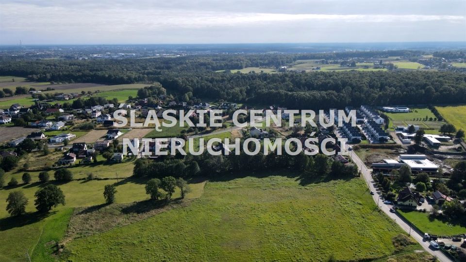 Zdjęcie 3