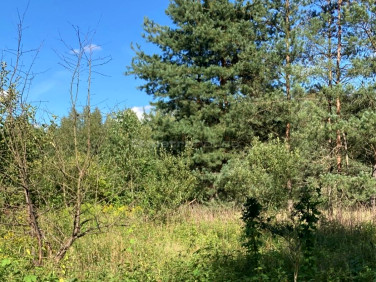 Działka rolna Rybaki