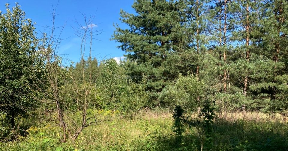 Działka rolna Rybaki