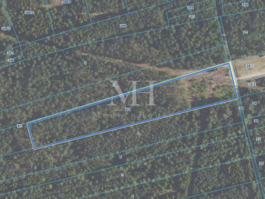 Działka siedliskowa Salomonka