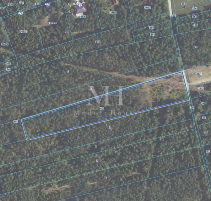 Działka siedliskowa Salomonka