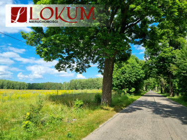 Działka budowlana Kobyle sprzedam