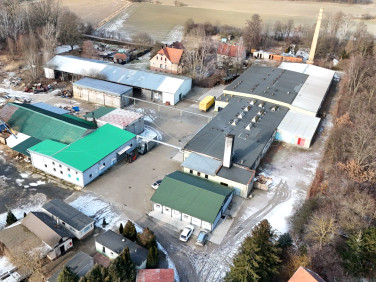 Budynek użytkowy Nowe Miasteczko