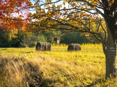 Działka rolna Rozdziele