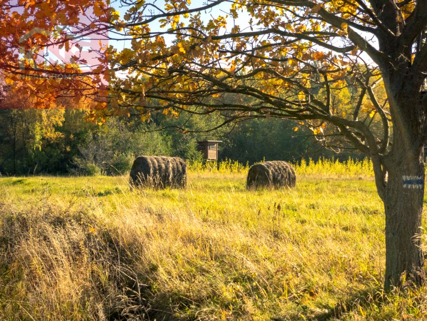 Działka rolna Rozdziele