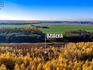 Działka rolna Rudno