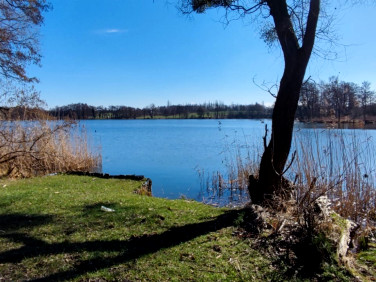 Działka inna Myślibórz