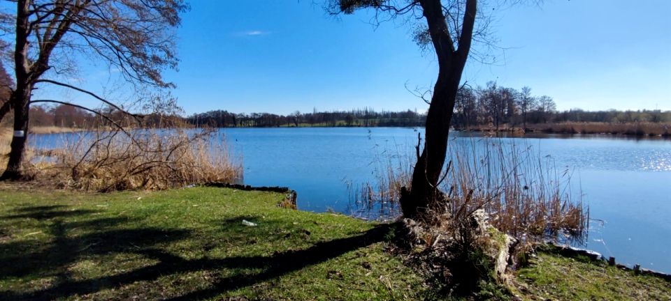 Działka inna Myślibórz