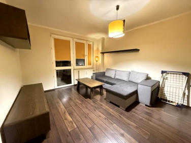 Mieszkanie Opole wynajem